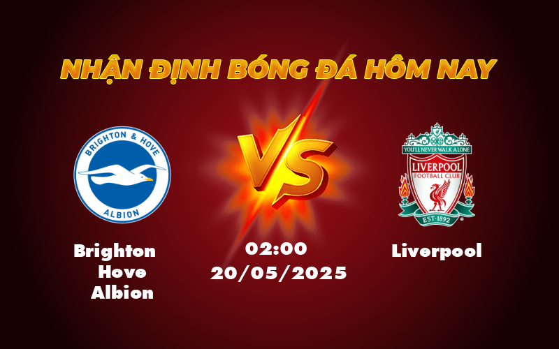Brighton Hove Albion vs Liverpool Cuộc đụng độ đầy kịch tính tại Ngoại hạng Anh 1 brighton hove albion liverpool 20 05 ngoai hang anh